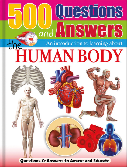 Picture of 500 QUESTIONS AND ANSWERS-THE HUMAN BODY