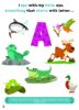 Picture of SMART BABIES I SPY ABC-ANIMALS